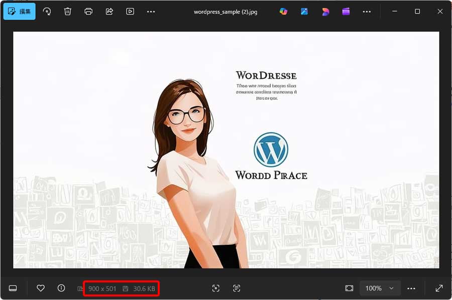 サイズ変更/圧縮後の画像